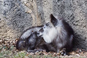 DateTimeOriginal: 2024:02:10 13:51:52 | Model: E-M10MarkIV | LensModel: OLYMPUS M.40-150mm F4.0-5.6 R