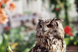 DateTimeOriginal: 2025:01:04 11:53:07 | Model: E-M10MarkIV | LensModel: MC JUPITER-9 85mm F2