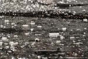 DateTimeOriginal: 2025:01:04 12:31:38 | Model: E-M10MarkIV | LensModel: MC JUPITER-9 85mm F2